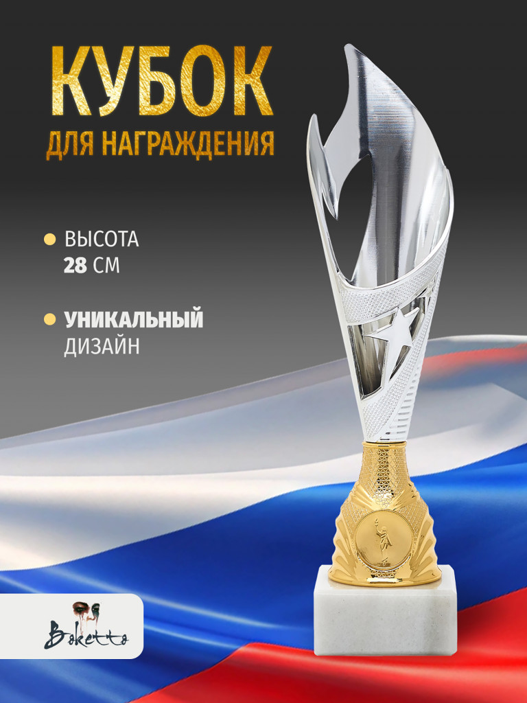 Кубок спортивный для награждения победителей 28 см серебряный