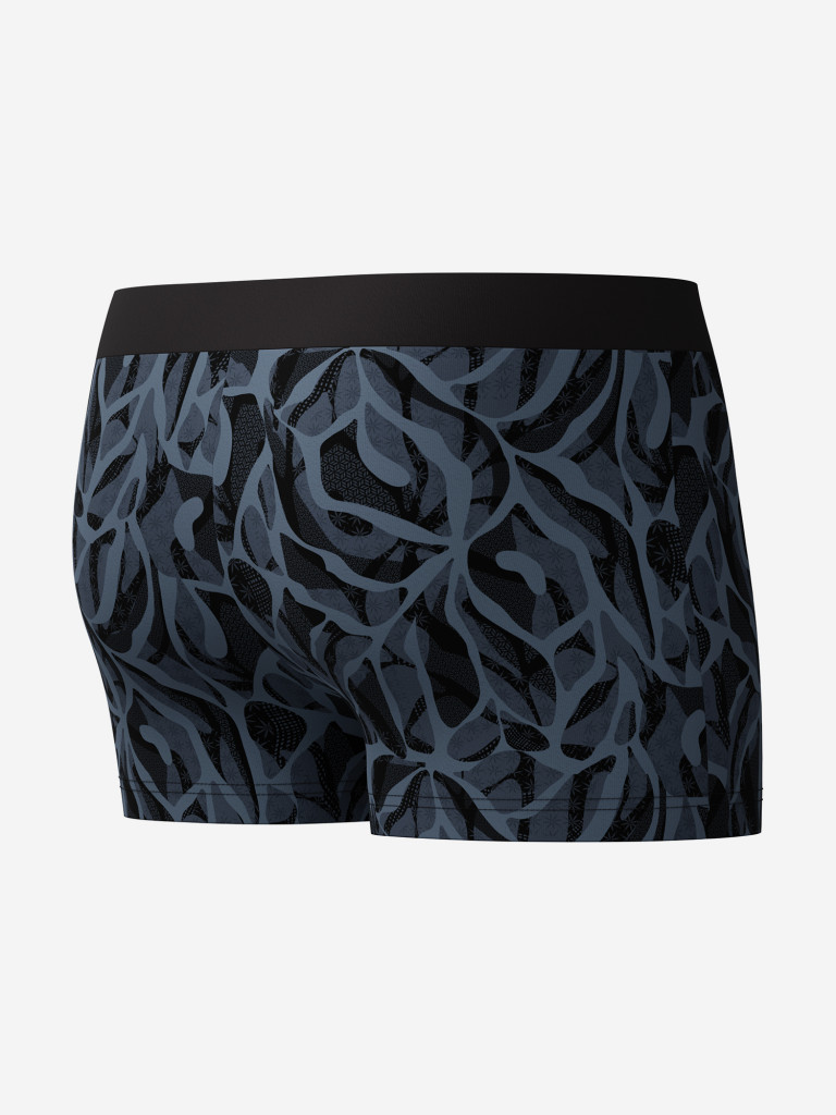 Плавки мужские Speedo Valmilton