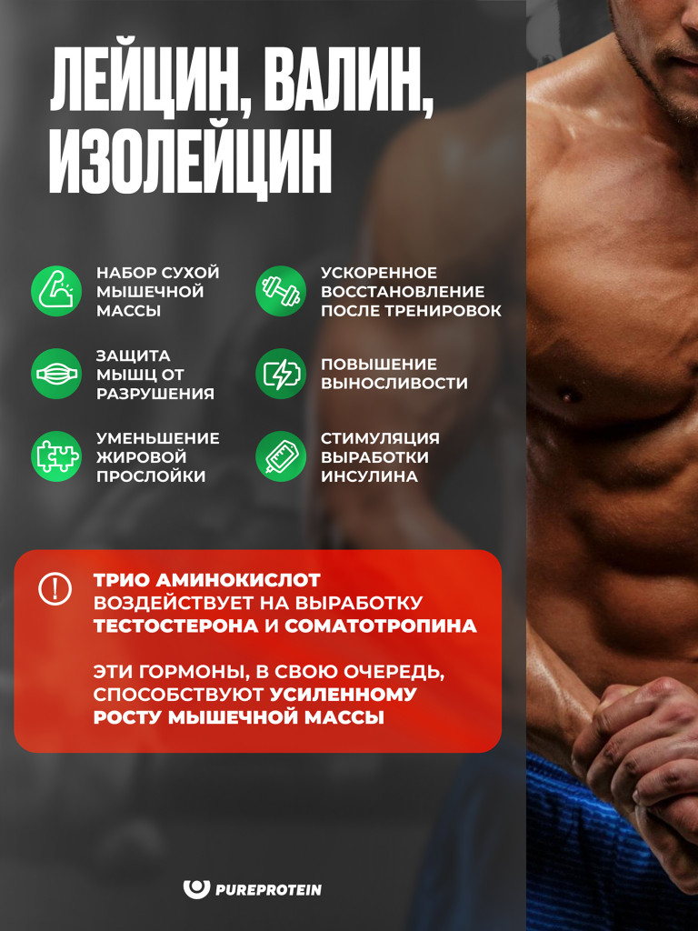 BCAA, аминокислоты PUREPROTEIN порошок 200гр, Лесные ягоды Порции: 40х5 г или 20х10 г