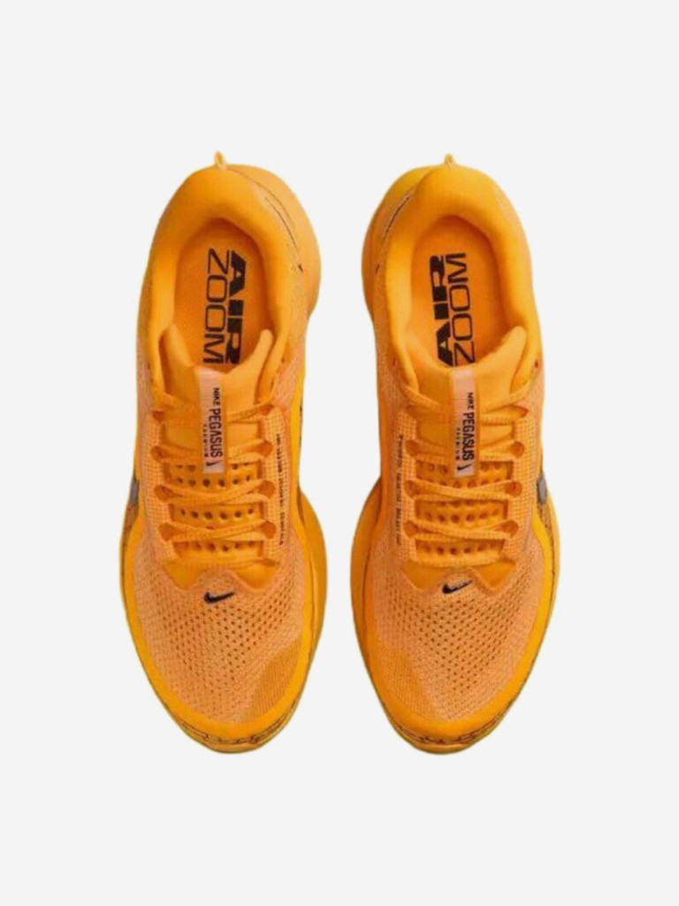 Кроссовки Nike Air Zoom Pegasus Premium