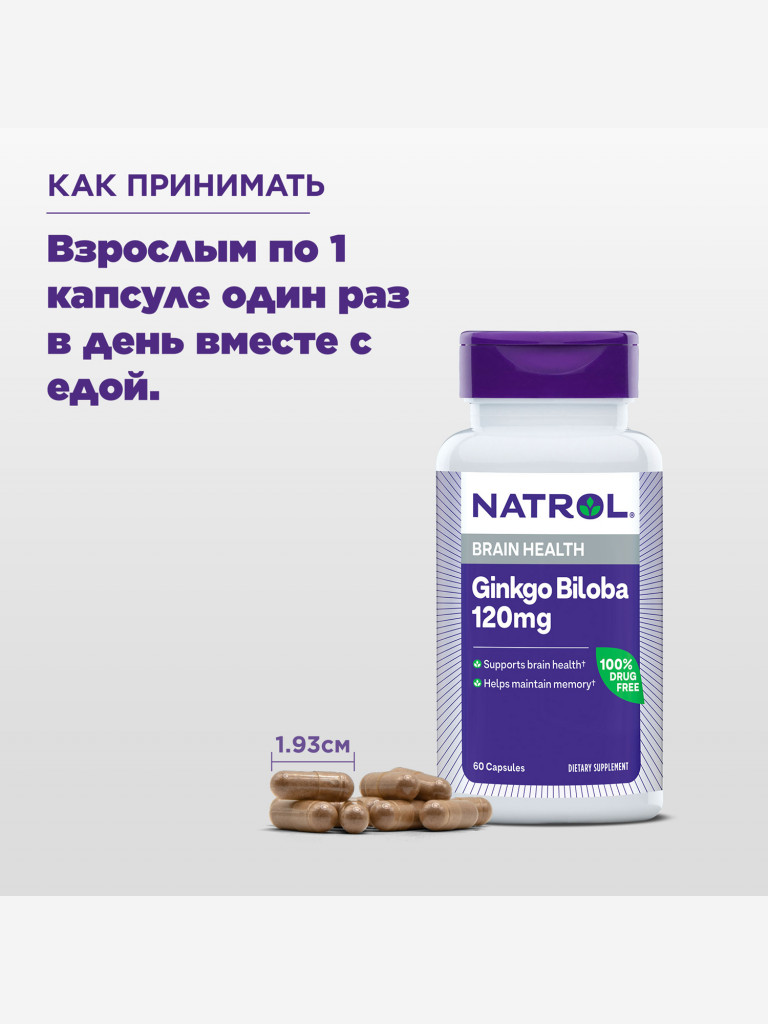 Бад, витамины, Гинкго билоба Natrol Ginkgo Biloba 120mg, для мозга, для памяти, концентрация, 60 капс