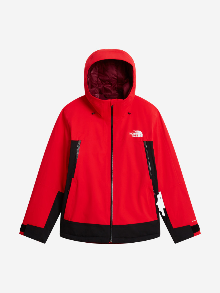 Куртка горнолыжная мужская The North Face