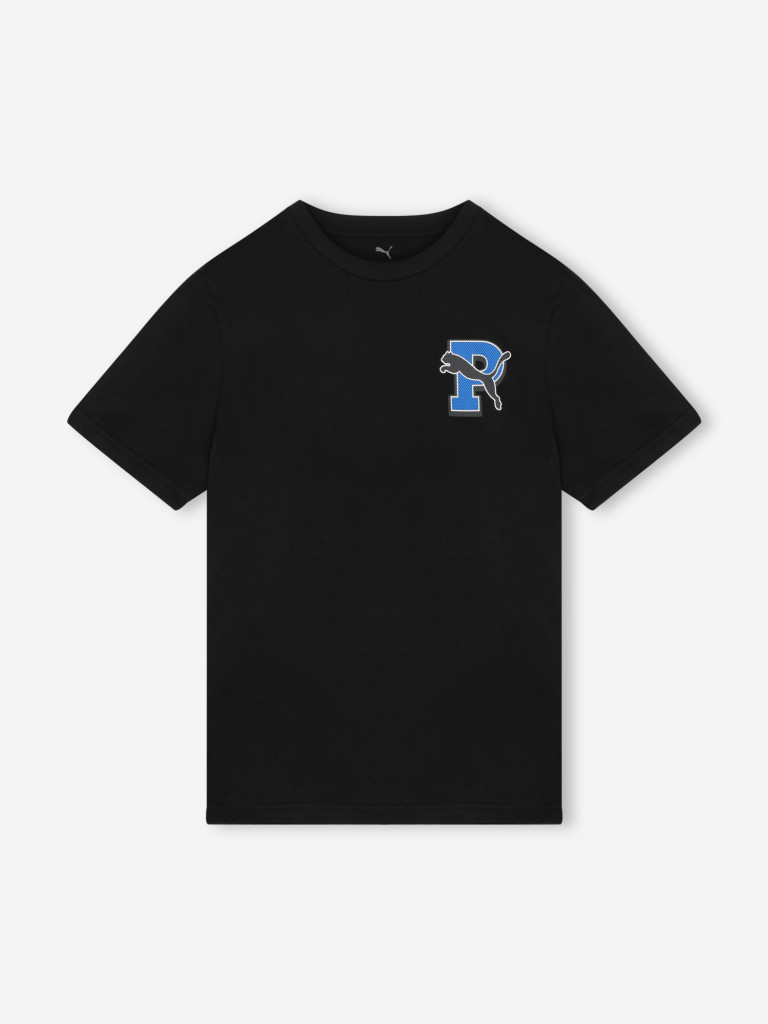 Футболка мужская PUMA