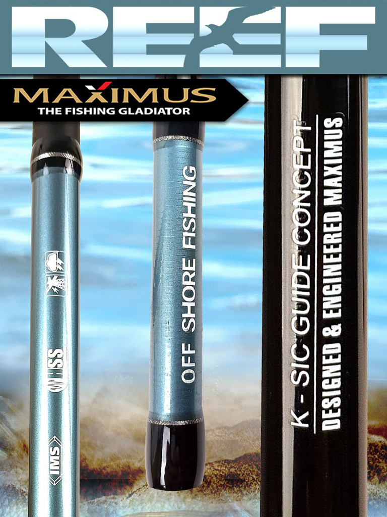 Спиннинг для рыбалки Maximus REEF 393MH 3,9 м 17-50 g