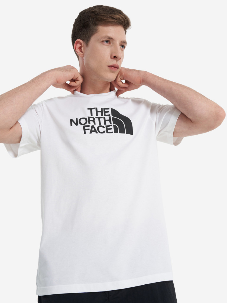 Футболка мужская The North Face Easy