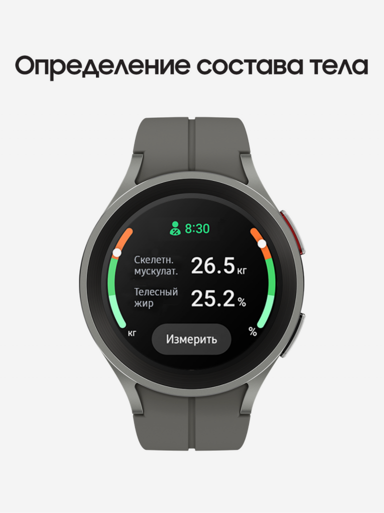 Смарт-часы Samsung Galaxy Watch5 Pro серый титан