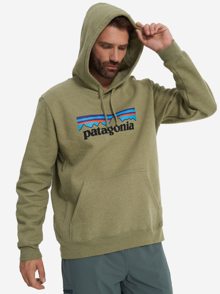 Худи мужское Patagonia Logo Uprisal