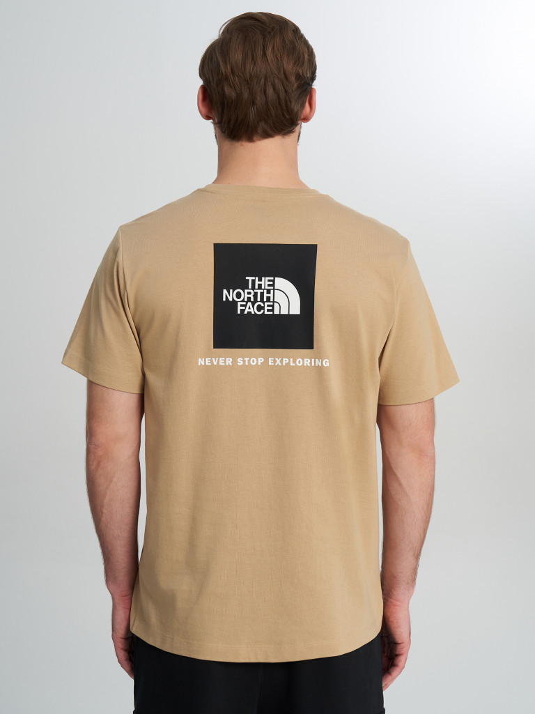 Футболка мужская The North Face Evolution