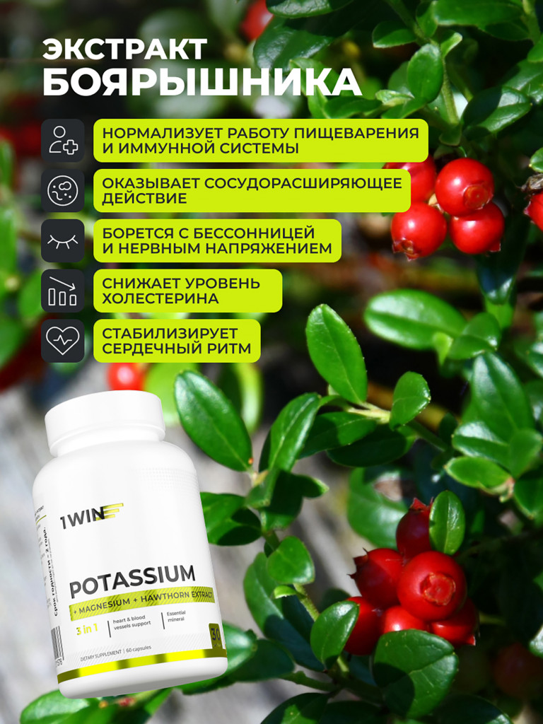 Калий + магний + экстракт боярышника 1WIN 60 капсул