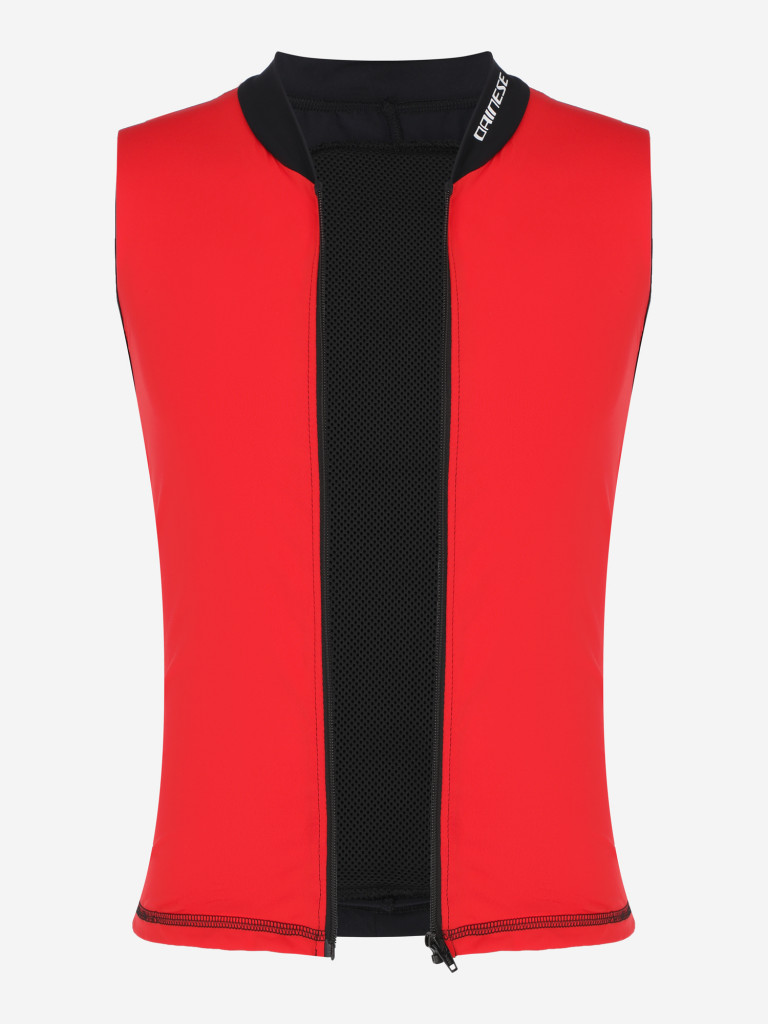 Защита спины Dainese Auxagon