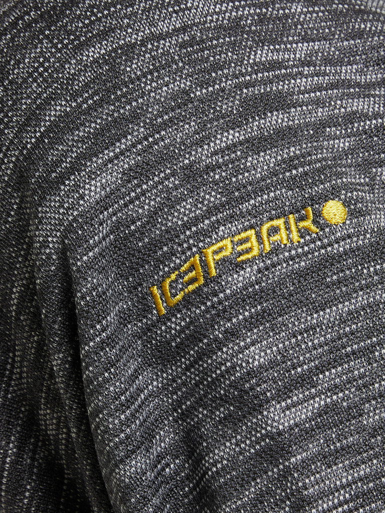 Толстовка мужская IcePeak Bardwell