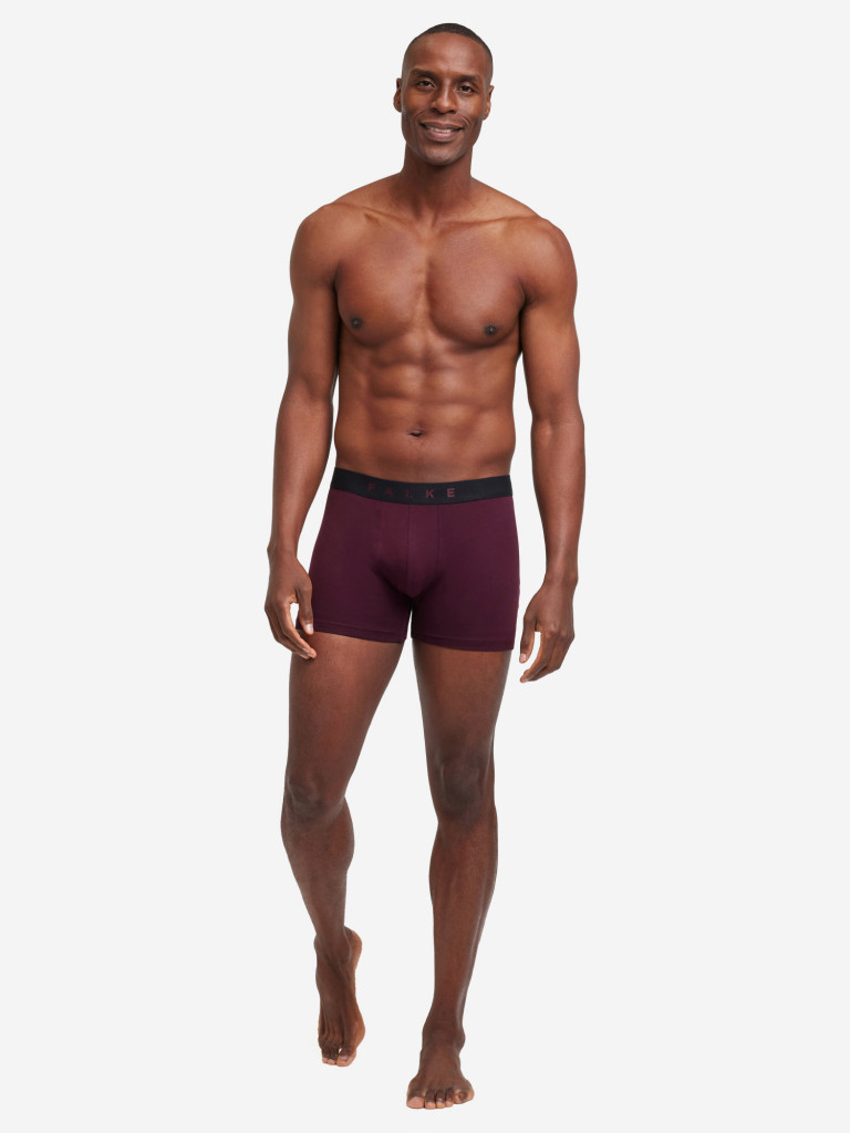 Набор мужских трусов FALKE