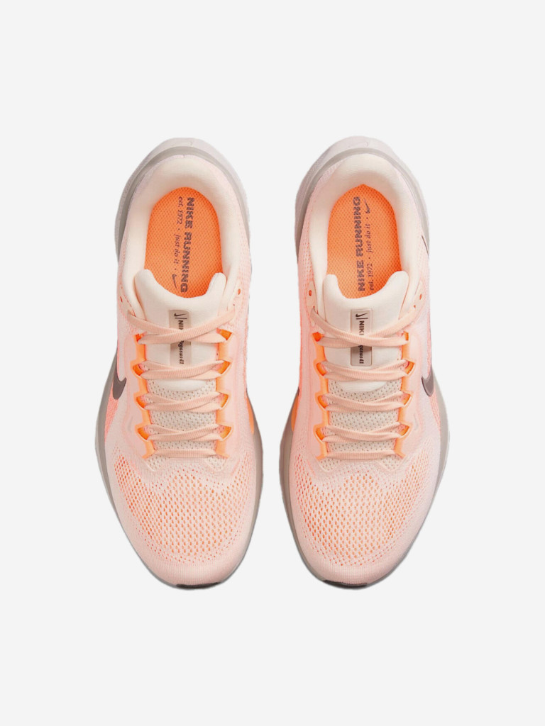 Кроссовки Nike Air Zoom Pegasus 41