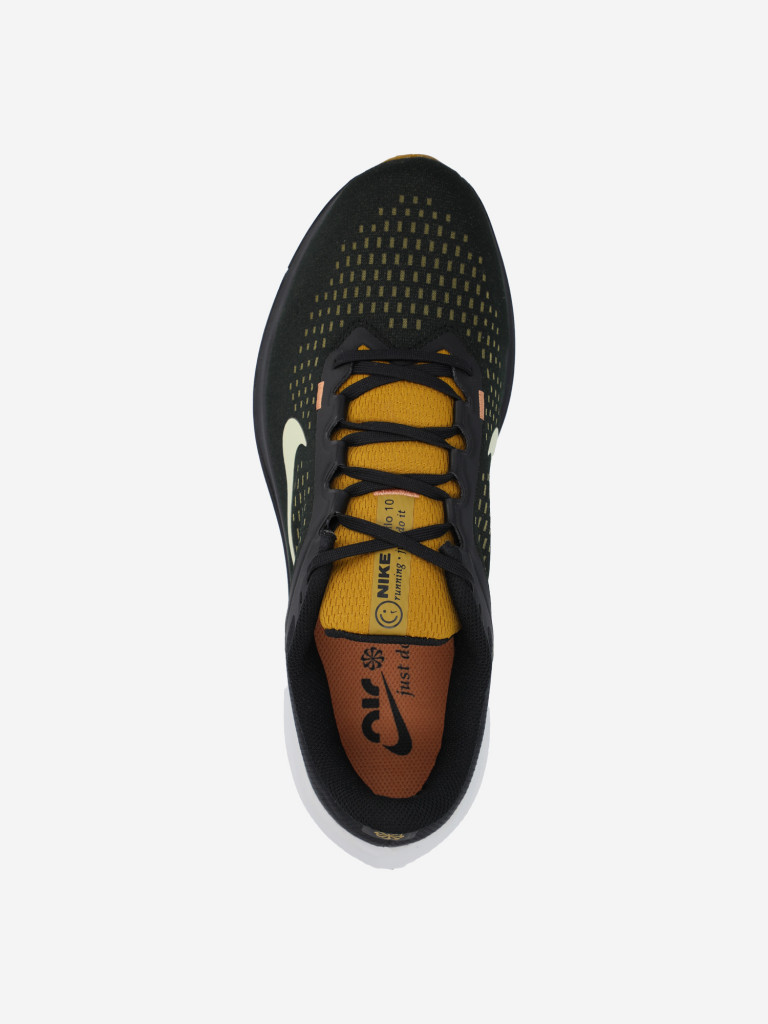 Кроссовки мужские Nike Air Winflo 10