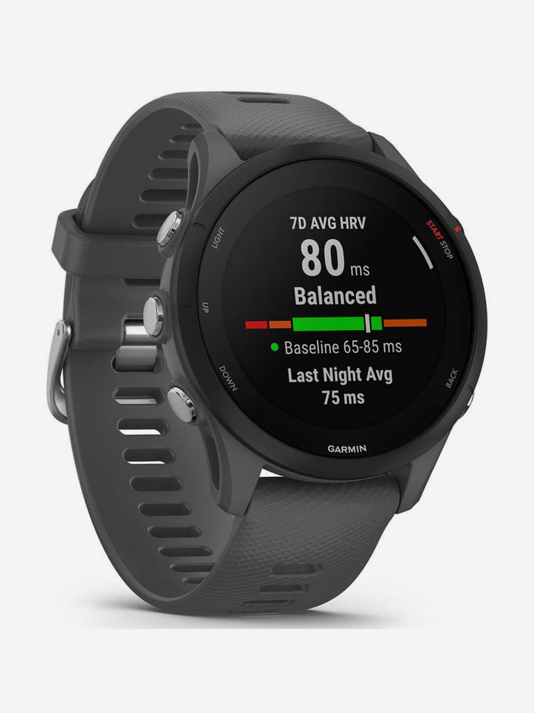 Спортивные часы Garmin Forerunner 255 с серым ремешком