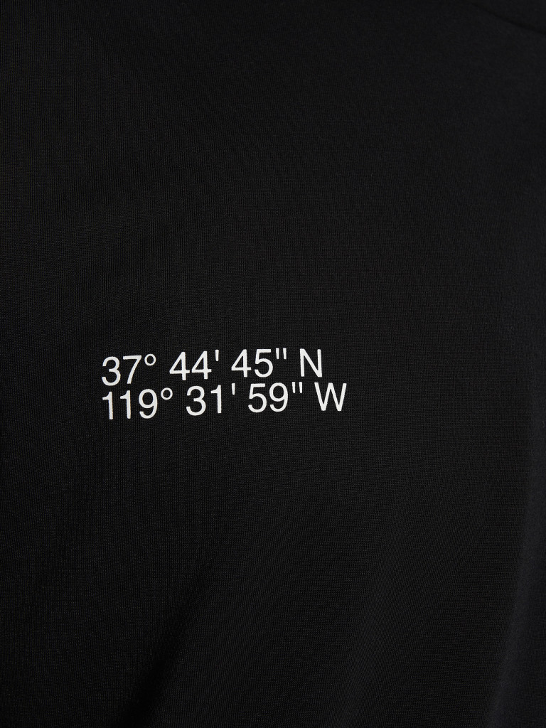 Футболка мужская The North Face Mountain Foundation Coordinates