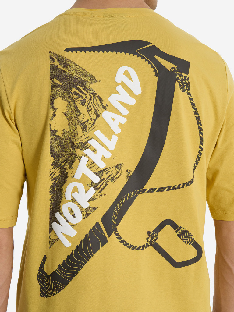 Футболка мужская Northland