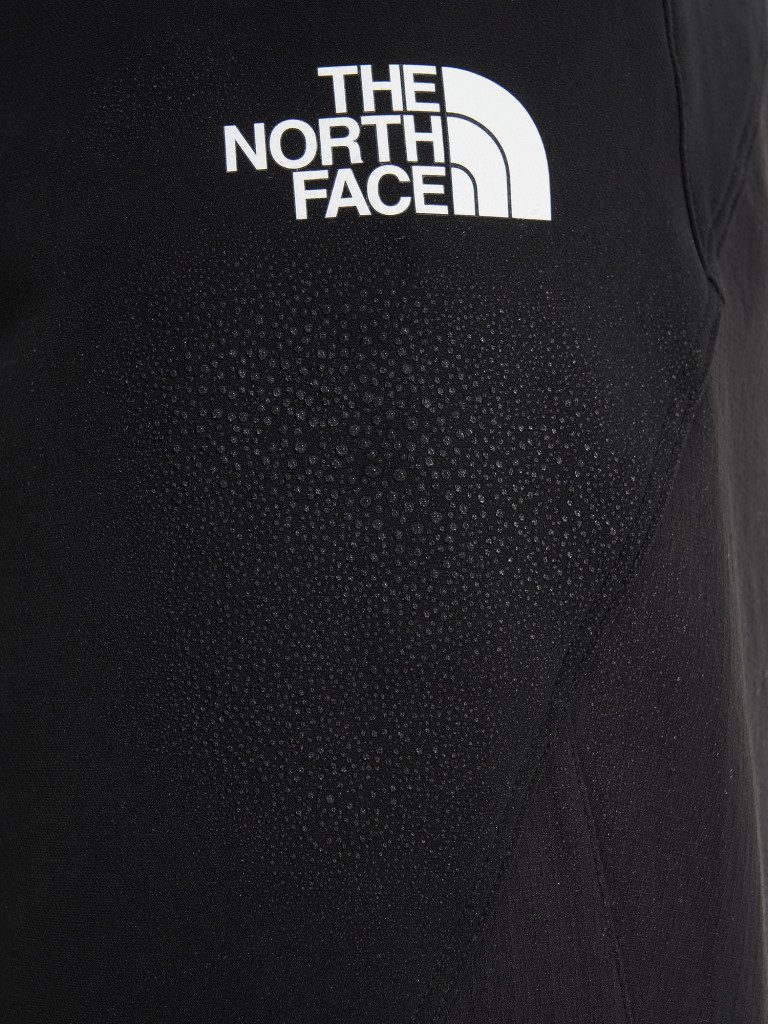 Брюки мужские The North Face Circadian