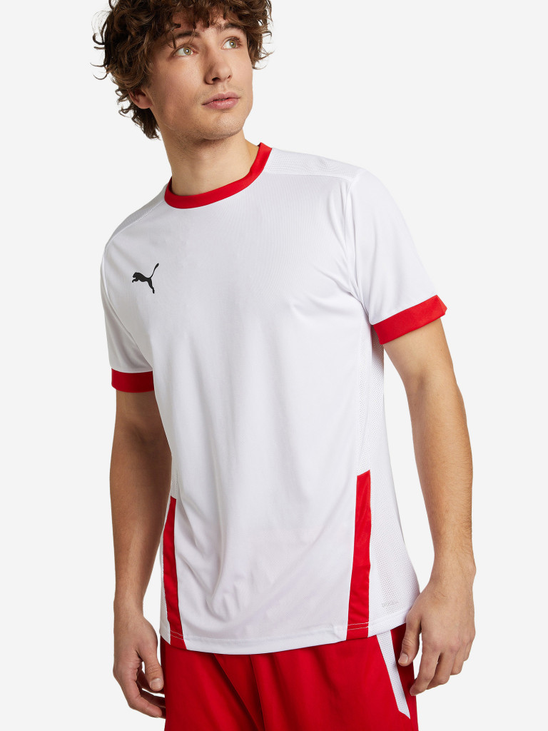 Футболка мужская PUMA teamGOAL 23 Jersey