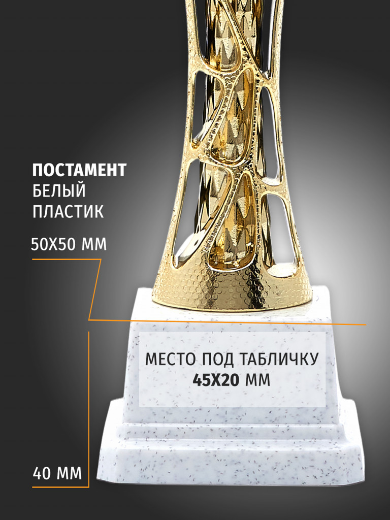 Спортивный кубок для награждения победителя 26.5 см