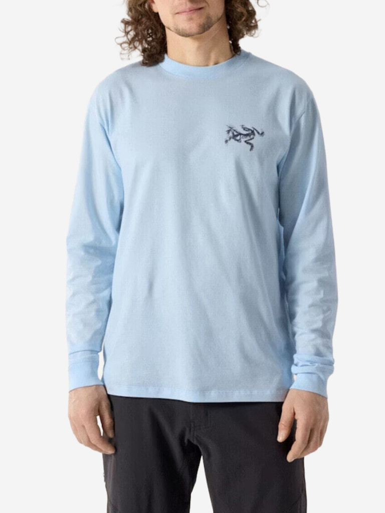 Лонгслив Arcteryx Kragg SL Cotton Bird Tile
