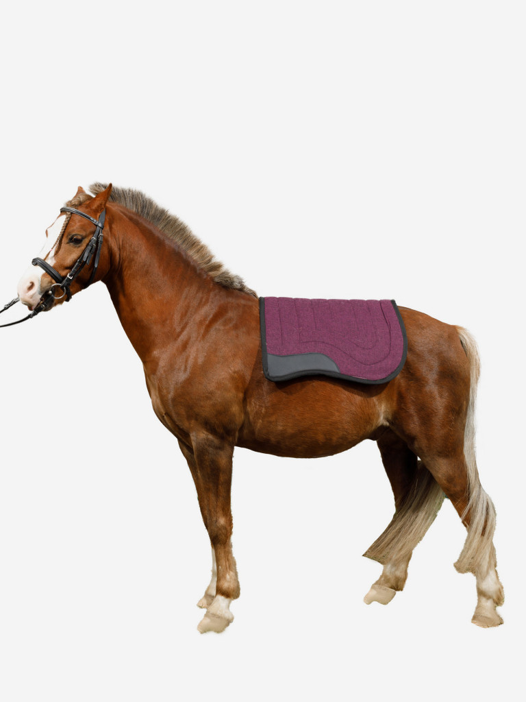 Вальтрап для лошади Sweet Horse