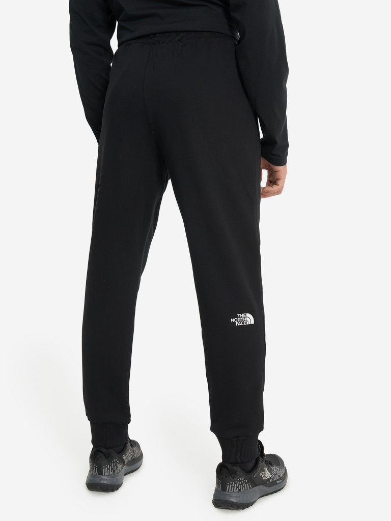 Брюки мужские The North Face Nse