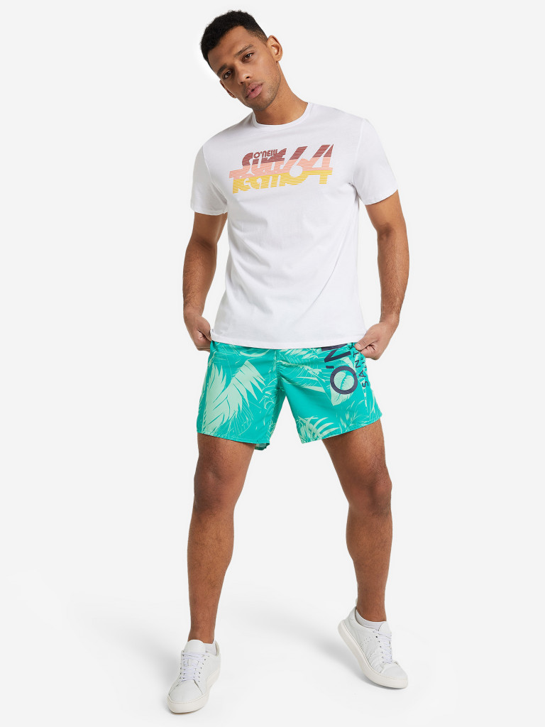 Футболка мужская O'Neill Surf Team