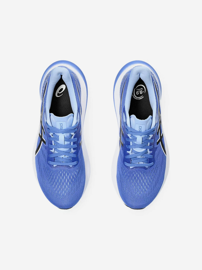 Кроссовки женские ASICS GT-2000 12