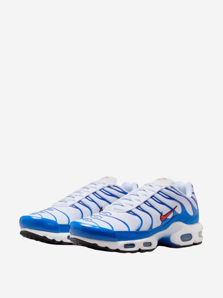Кроссовки Nike Air Max Plus