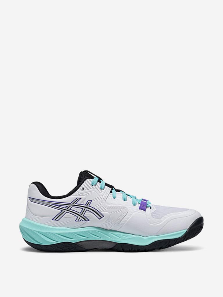 Кроссовки Asics SKY ELITE FF 4