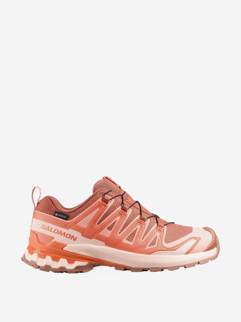 Кроссовки беговые Salomon XA PRO 3D V9 GTX W