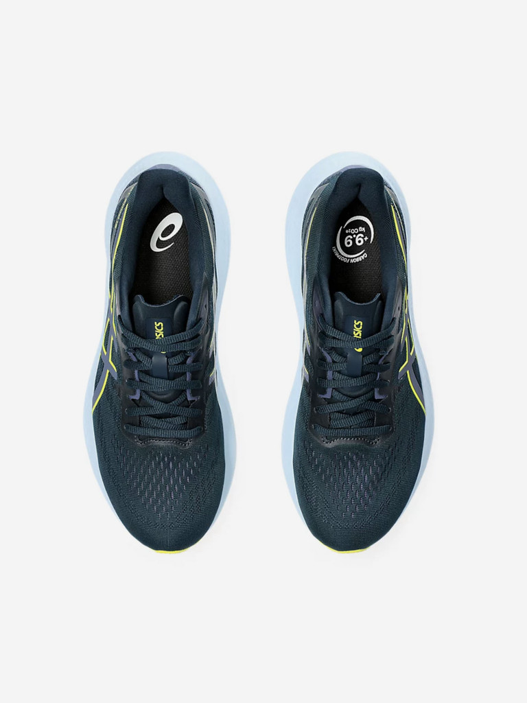 Кроссовки мужские ASICS GT-2000 12