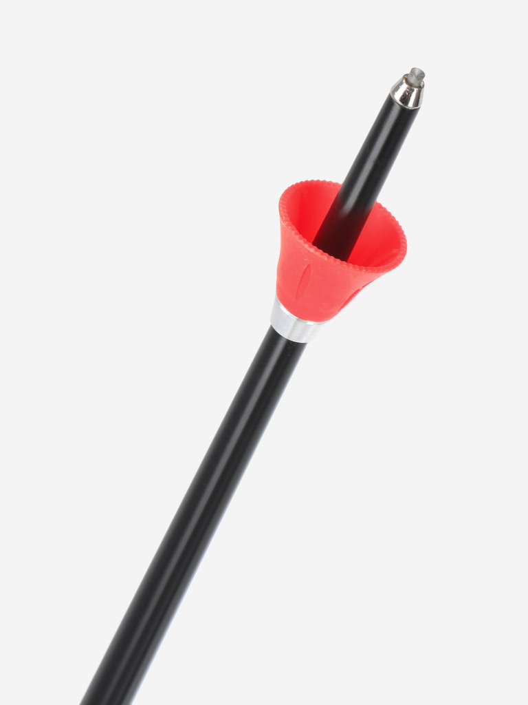 Палки горнолыжные Rossignol Hero GS
