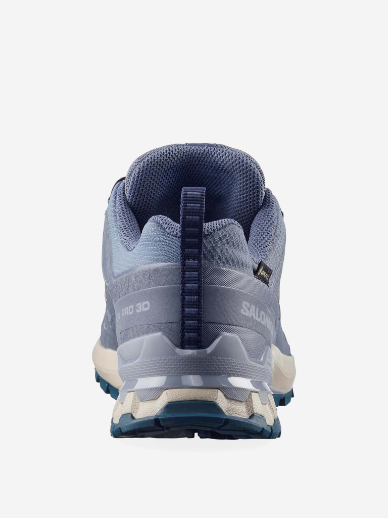 Кроссовки беговые Salomon XA PRO 3D V9 GTX W