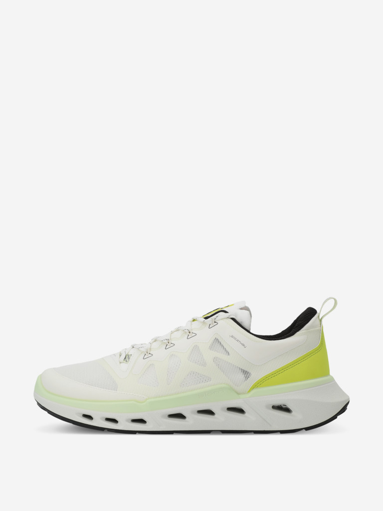 Кроссовки мужские Ecco Biom 720