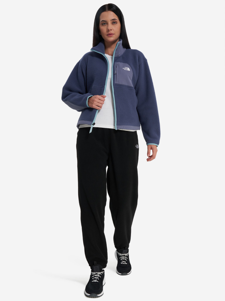 Брюки флисовые женские The North Face Glacier