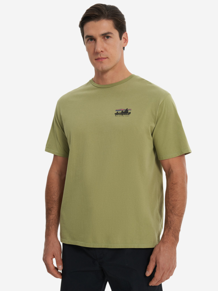 Футболка мужская Patagonia Skyline Organic