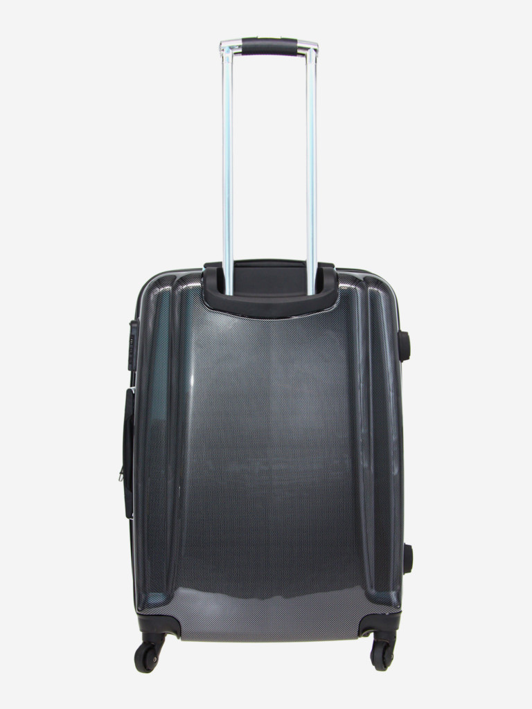 Чемодан RION+ L