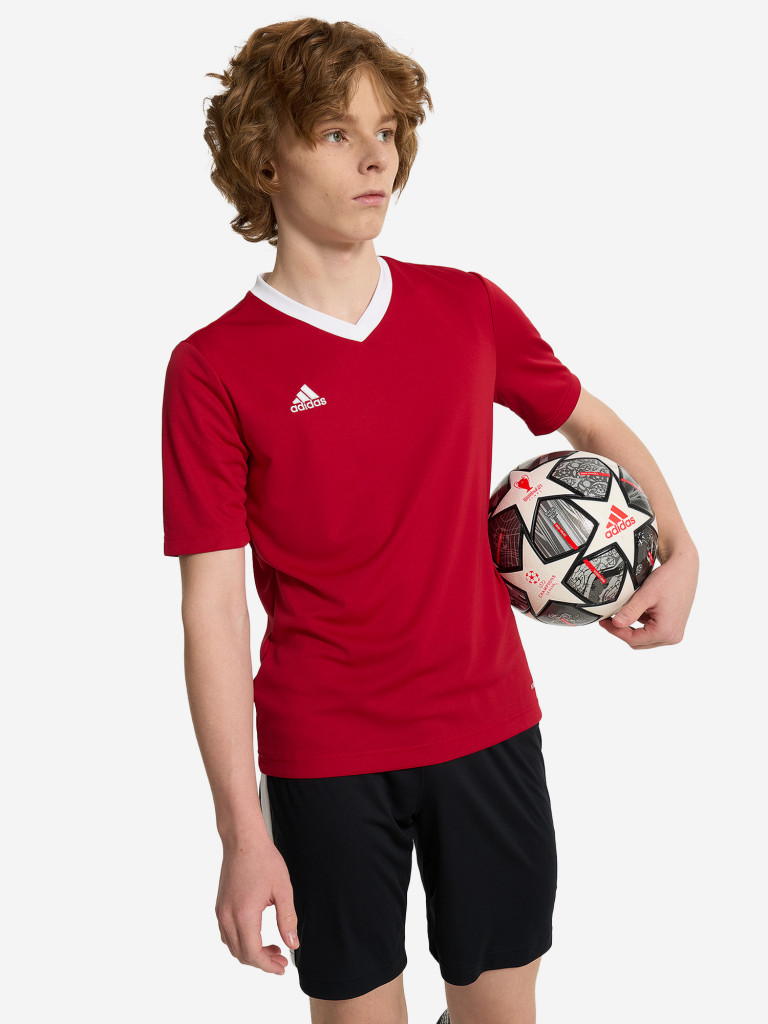 Футболка для мальчиков adidas Entrada 22
