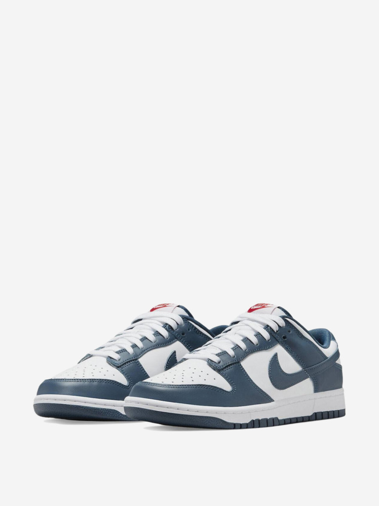 Кроссовки Nike Dunk Low Valerian Blue