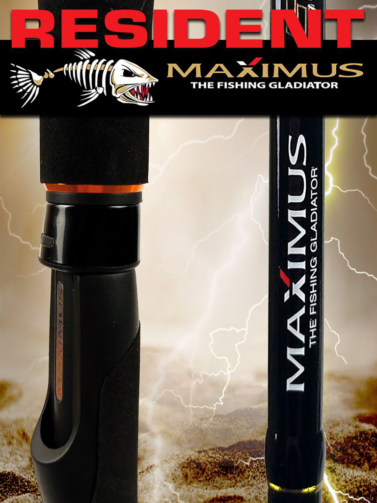 Спиннинг для рыбалки Maximus RESIDENT 27H 2,7m 20-60g