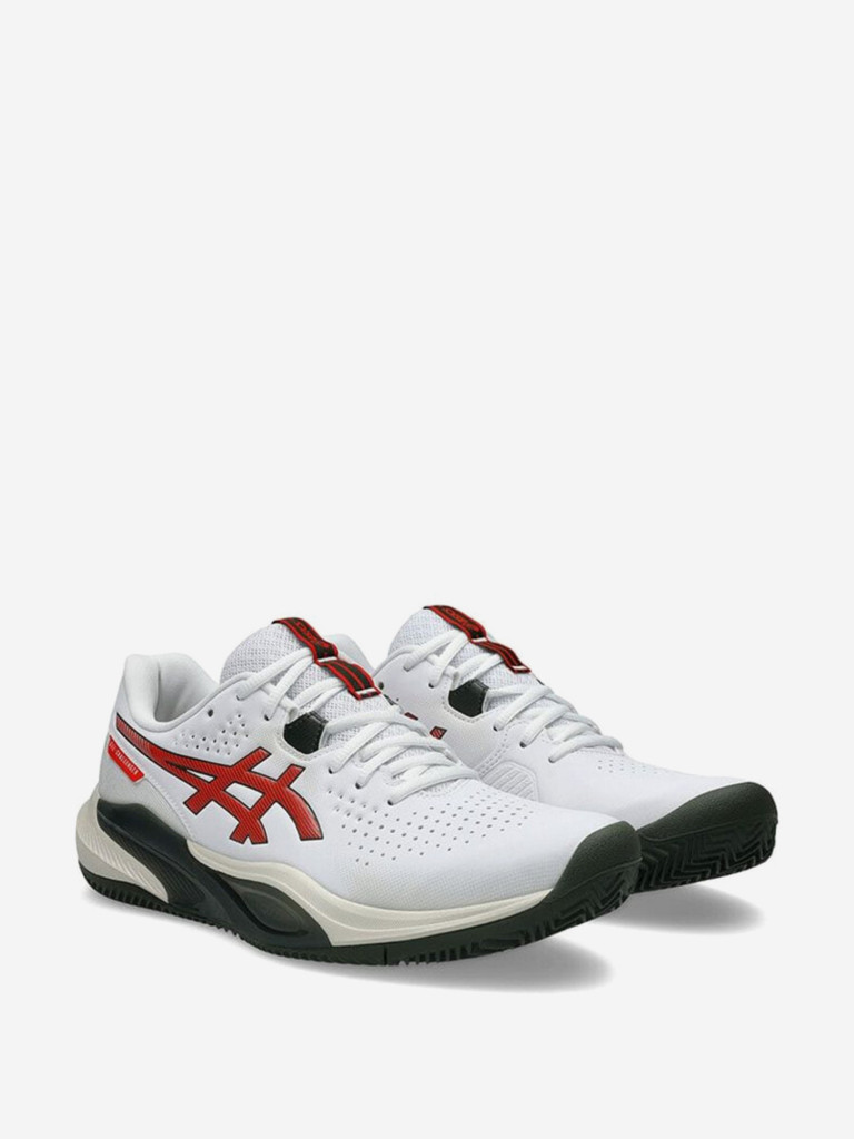 Кроссовки мужские ASICS Gel-Challenger 15