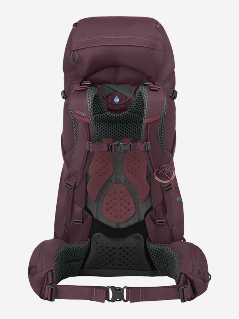 Рюкзак Osprey Kyte 58 Elderberry Purple