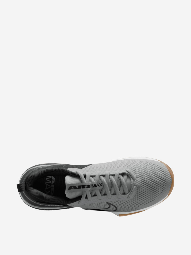 Кроссовки мужские Nike Air Max Alpha Trainer 6
