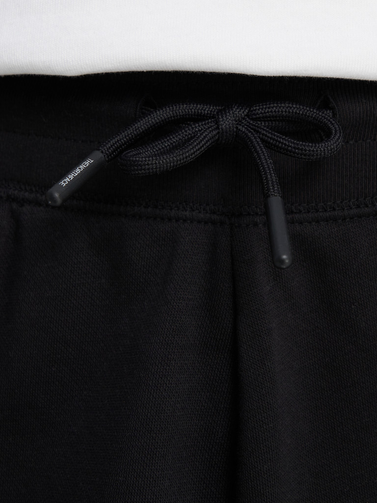 Брюки мужские The North Face Essential