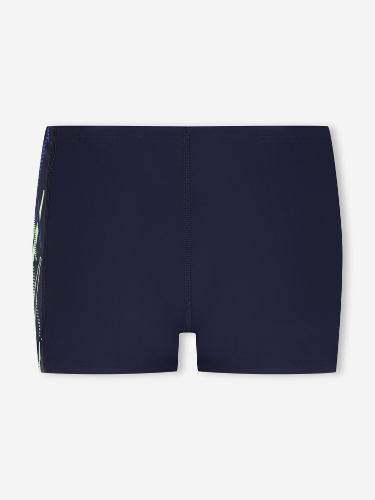 Плавки-шорты для мальчиков Speedo Plastisol Placement Aquasht