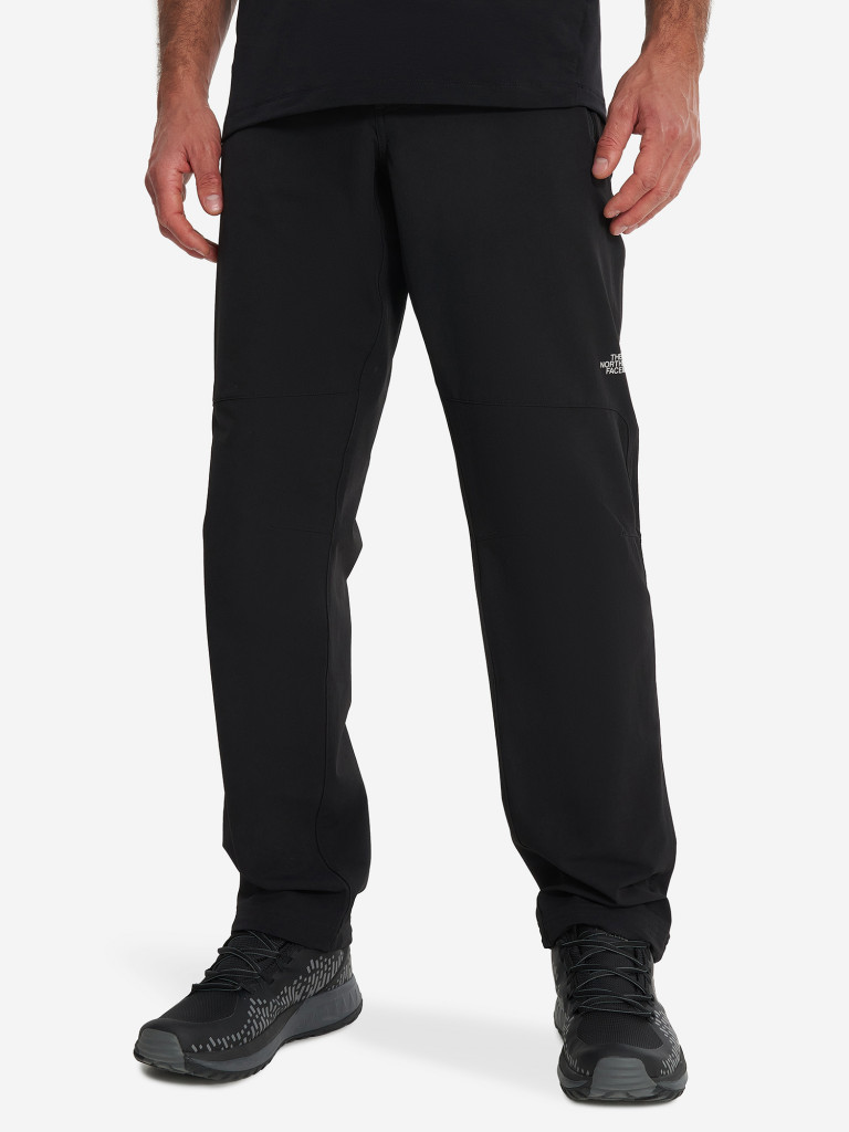 Брюки мужские The North Face Quest Softshell
