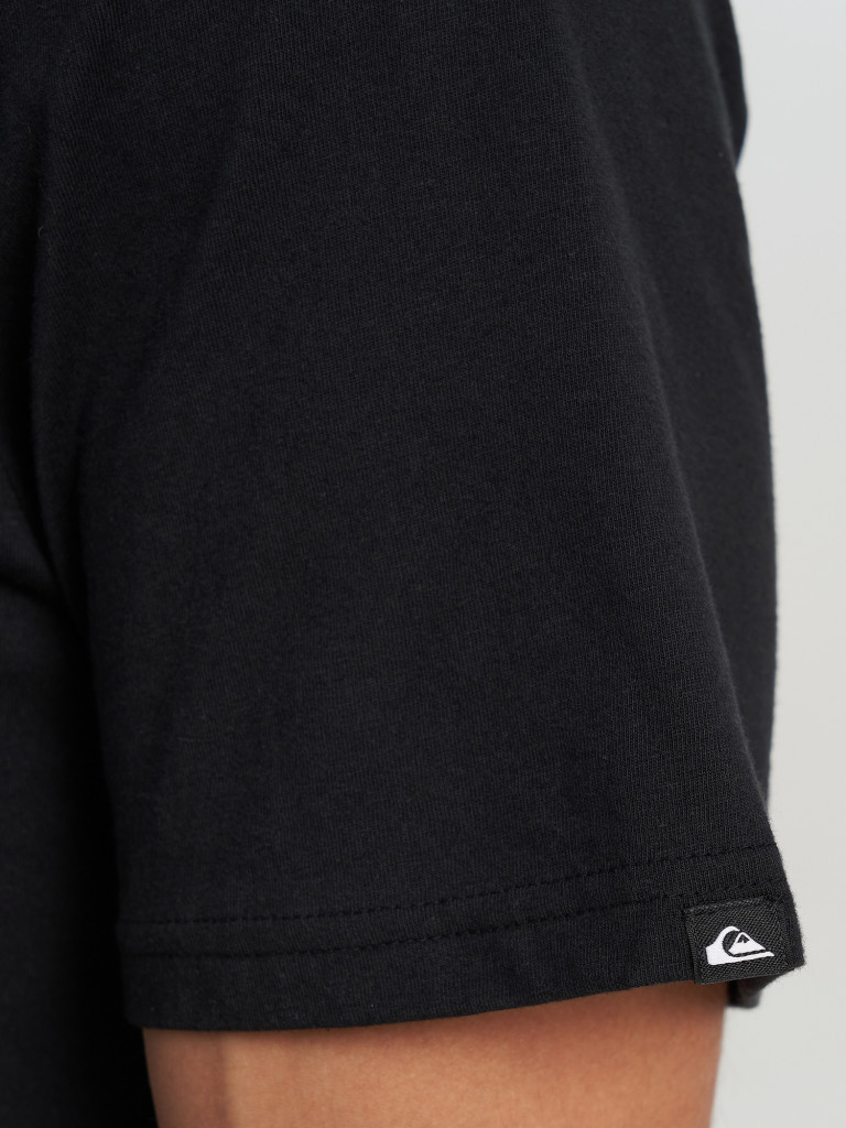 Футболка мужская Quiksilver Ev Vista