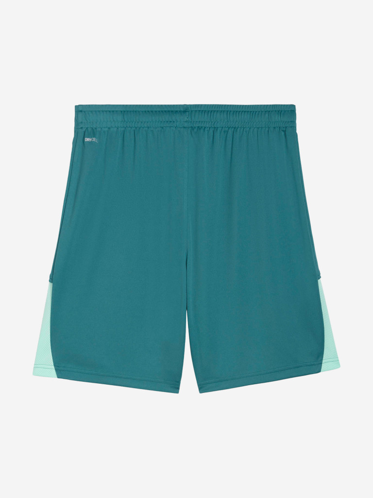 Шорты мужские PUMA Teamliga26
